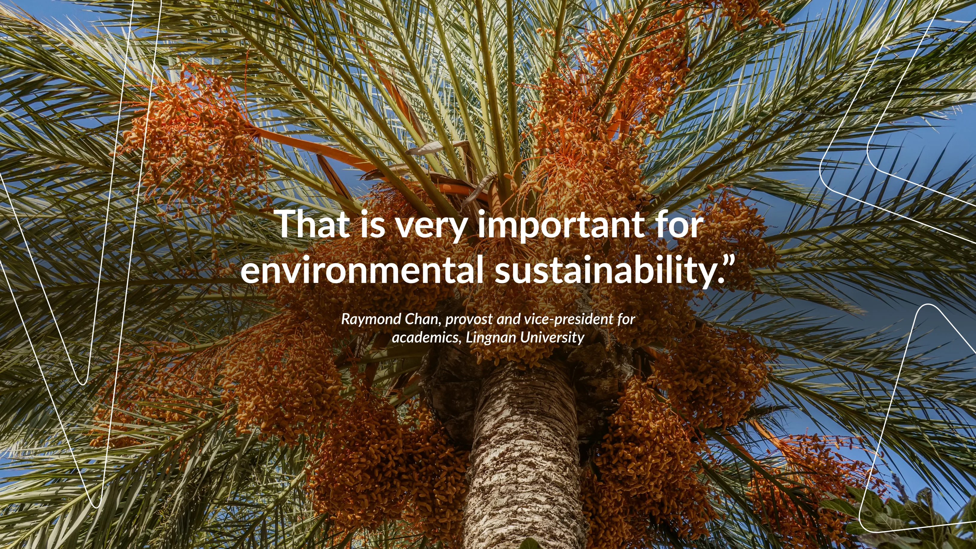 Times Higher Education coverage image for AI and sustainable impact